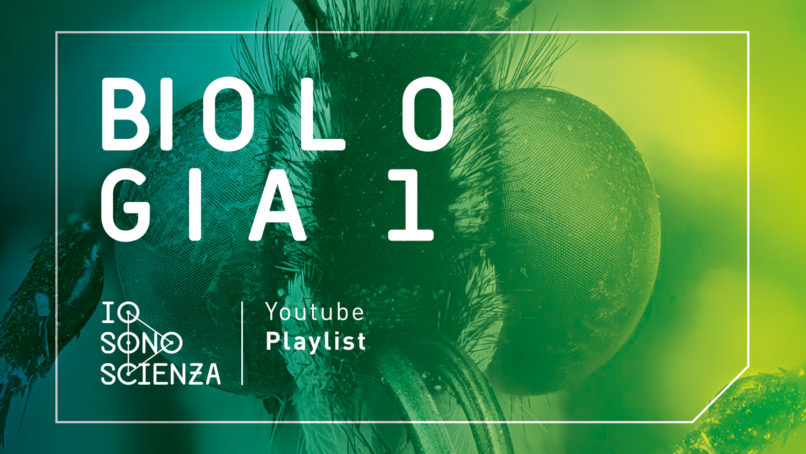 Luca Wist Ferrario - Anticonventional Designer - Io Sono Scienza